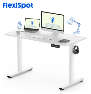 FlexiSpot-전동-모션데스크-추천-1대